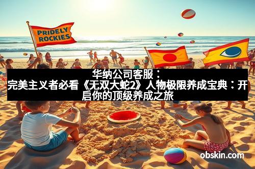 华纳公司客服：完美主义者必看《无双大蛇2》人物极限养成宝典：开启你的顶级养成之旅